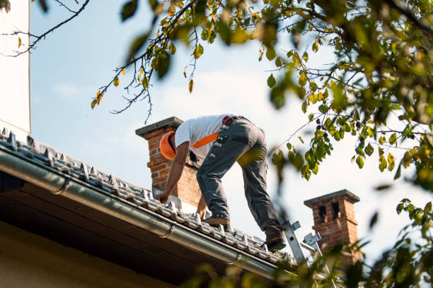 Best Steel Roofing  in Clendenin, WV