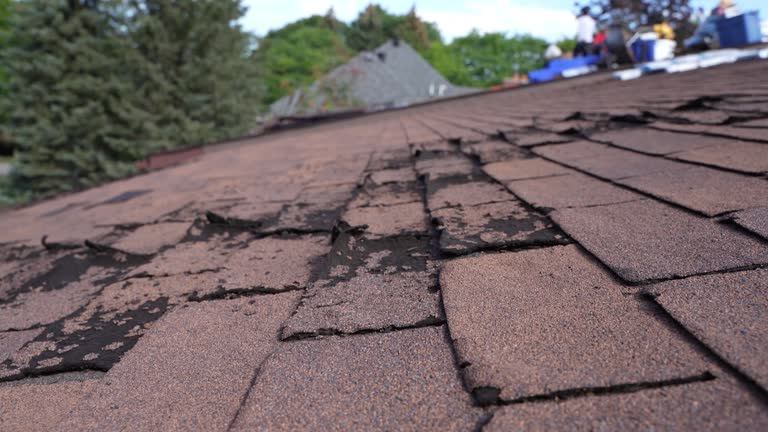 Best Storm Damage Roof Repair  in Clendenin, WV