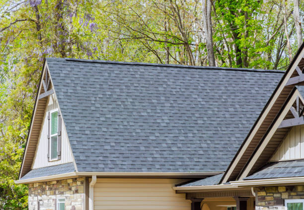 Best Asphalt Shingle Roofing  in Clendenin, WV